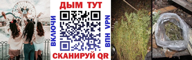 Где купить наркоту Ленинск-Кузнецкий Амфетамин Бошки Шишки Alpha-PVP МЕФ Гашиш